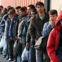 Каждый четвертый беженец в Германии трудоустроен