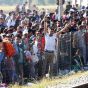 Германия и Австрия ужесточают пограничный контроль для предотвращения нелегальной миграции