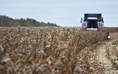 В Украине ожидается рост урожая кукурузы