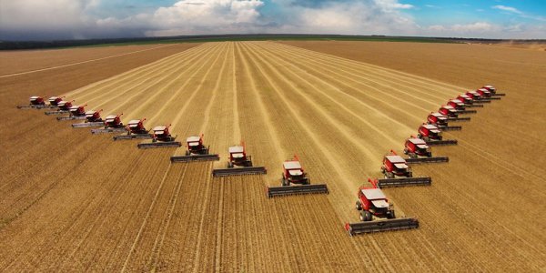 «Престиж сельскохозяйственных профессий возрастает»: Россельхозбанк назвал самые востребованные профессии в АПК